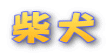 柴犬